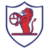 https://img.wjj666.com/img/football/team/11fb72f7b5eacfc881ee11bac75871fa.png