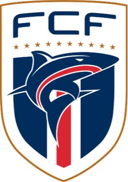 https://img.wjj666.com/img/football/team/b78fbb9123ed9633ac77215960a8a7b3.png